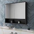Black Bathroom Mirror Cabinets